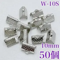 【1769】ワニカン　シルバー　10mm　50個