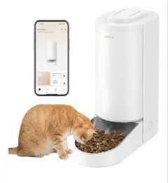 Item thumbnail for item 513123d8-6e9e-4c4b-bcfe-73f36daaab8d