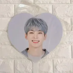 【新品未使用】SEVENTEEN ウォヌ2020 うちわ　お値下げ可