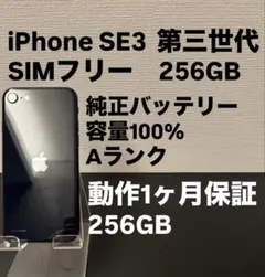 極美品 256GB Apple iPhone SE3 第三世代 日本版 se3
