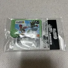 ポケモンメガスタンプラリー 2025 スペシャル ポケモンフレンダ