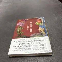 pine@プロフ必読様 リクエスト 4点 まとめ商品