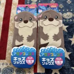 コツメカワウソ／ソックスセット