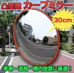 Item thumbnail for item 74ff953c-906b-4b7c-b238-6e072ccba0a4