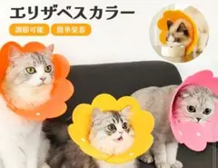 エリザベスカラー イエロー L 猫 軽量 ソフト 術後ケア 傷舐め引っ掻き防止