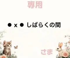 専用