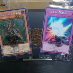 遊戯王 WCS2025 来場者記念カード 2枚セット 遊戯王 WCS2025 来場者記念カード 2枚セット - メルカリ