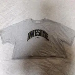 【値下げ交渉可能】クロップド丈 半袖Tシャツ グレー Fサイズのサムネイル