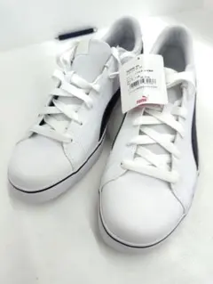 Item thumbnail for item f6f9f5df-1f03-4684-b107-69f66e5085c0