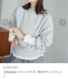2026年最新】スローブイエナ チャンピオンの人気アイテム - メルカリ