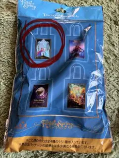 ディズニー　トートバッグ　アナ雪