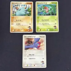 ポケカ サトシのジュプトル ゴマゾウ 他 映画公開記念VSパックのサムネイル