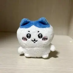 ちいかわ お座りぬいぐるみ 奇譚クラブ ハチワレのサムネイル