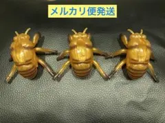 セミの抜け殻 ミニフィギュア 8個セット - メルカリ