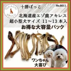 Item thumbnail for item c815e7b9-c0ab-4fe9-b426-10b2fc6d1936