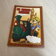 TDS 使用済み ストームライダー チャレンジャー証明書ディズニーシー 東京ディズニーシー レイジングスピリッツ チャレンジャー証明書