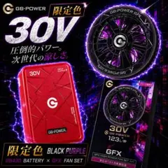 2026長信ジャパン30VバッテリーGB430 限定ホワイトグリーンファン