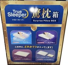 値下げ不可 トゥルースリーパー 2026年 新春 驚枕箱 surprise トゥルースリーパー 驚福箱 2025 True Sleeper 未使用品｜Yahoo!フリマ