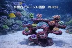 2026年最新】ライブロックレプリカの人気アイテム - メルカリ