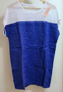 Item thumbnail for item 810a3904-8a0b-4f6e-9557-b647df3d69e7