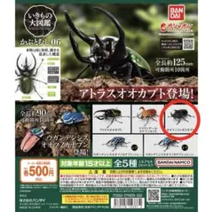 いきもの大図鑑 カプセルトイ