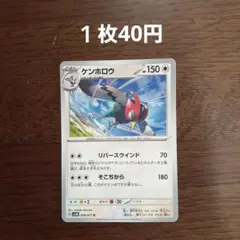 ケンホロウ【在庫１枚】のサムネイル