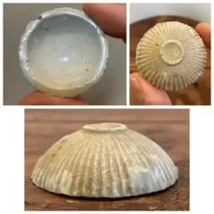 2026年最新】紅皿の人気アイテム - メルカリ