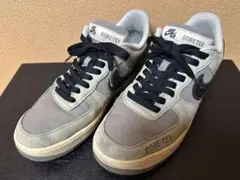 ナイキ Nike Air Force 1 GORE-TEX グレー/ブラック