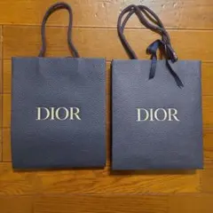 DIOR ネイビー ショッパー 2個セット