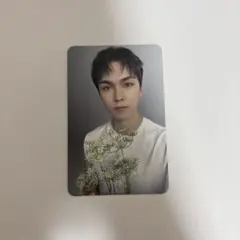 SEVENTEEN 17 is right here carat盤 バーノン