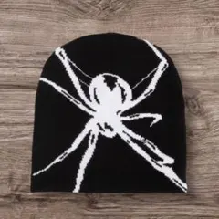 【ラスト1点】蜘蛛の巣　ビーニー　ニット帽　カジュアル　スキー　ユニセックス