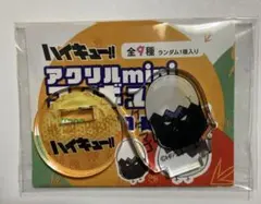ハイキュー!! ファンパーク アクリルmini カゲタマゴ