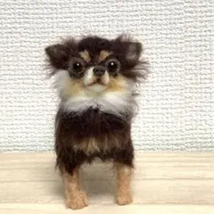 羊毛フェルト　チョコタンチワワのサムネイル