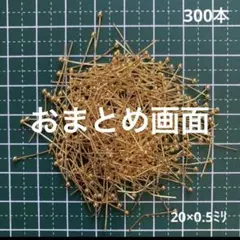 AYP☆プロフィール文は開いて読んで❣様 リクエスト 2点 まとめ商品