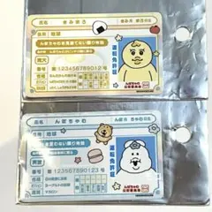 んぽちゃむ きみまろ 免許証 ステッカー 新品未使用