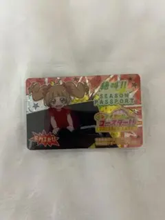 プリキュア 愛崎えみる　パスポート