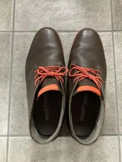 Item thumbnail for item fe782470-f9a6-47b5-a21e-0a036ec557ef