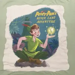 ■ Disney ピーターパン ファンタジースプリングス Tシャツ