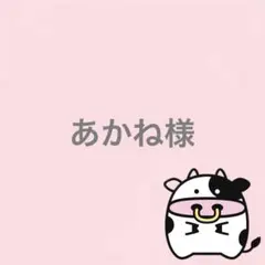 あかね様 リクエスト 4点 まとめ商品