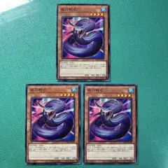 遊戯王 夜刀蛇巳 3枚セット②