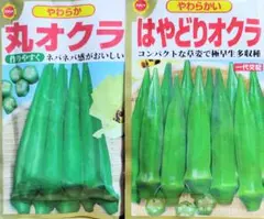 Chipichipi_uramusume様 リクエスト 2点 まとめ商品