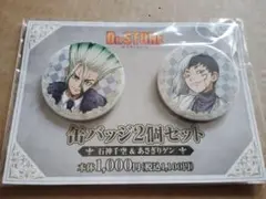 Dr.STONE 石神 千空 あさぎり ゲン ファミマ 缶バッジ チェス