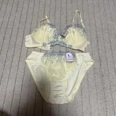 イエロー Lサイズ ブラジャーショーツセット