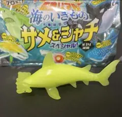 光る!のび〜る最強リアル海のいきもの サメ＆シャチ