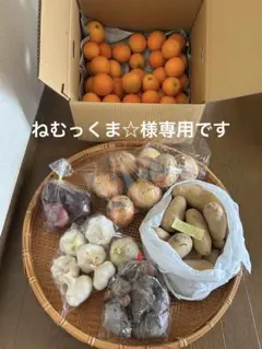 ねむっくま☆様専用です　100サイズですのサムネイル