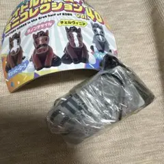 アイドルホース ミニコレクションGⅢ 中山金杯 リカンカプール