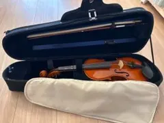 2026年最新】EASTMAN バイオリンの人気アイテム - メルカリ