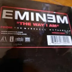 エミネムのレコード(美品) Yahoo!オークション -「eminem」(レコード) の落札相場・落札価格