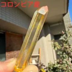 2026年最新】ゴールデンヒーラーの人気アイテム - メルカリ