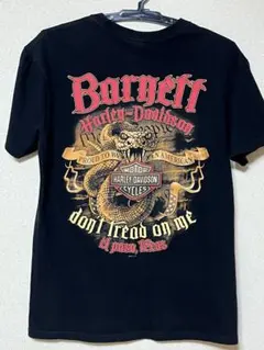 Harley-Davidson 2011年 Tシャツ M Texas